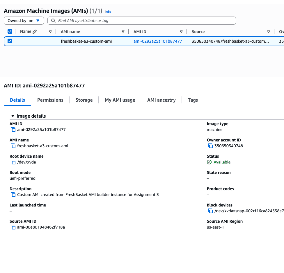 Custom AMI AWS configuration screenshot